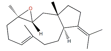 (3S,4R)-3,4-Epoxy-7,12(18)-dolabelladiene