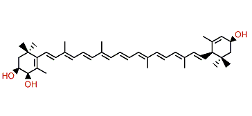 (3S,4R,3'S,6'R)-beta,epsilon-Carotene-3,4,3'-triol