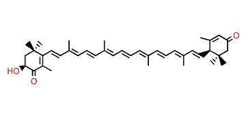 (3S,6'R)-3-Hydroxy-beta,epsilon-carotene-3',4-dione