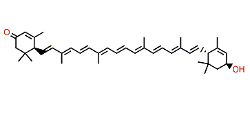 (3S,6S,6'S)-3-Hydroxy-epsilon,epsilon-caroten-3'-one