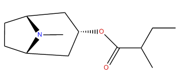 3alpha-(2-Methylbutyroxy)-tropane