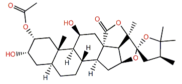 (22S)-3a-Acetoxy-11b,18b-dihydroxy-24-methyl-18,20b-22,25-diepoxy-5a-furostane