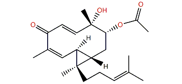 3a-Acetoxydilopholone