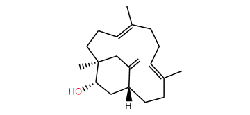 3a-Hydroxy-7,16-secotrinervita-7,11,15(17)-triene