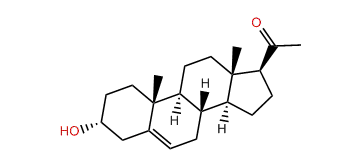 3a-Hydroxypregn-5-en-20-one