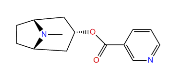 3alpha-Nicotinoyloxytropane