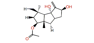 3b-Acetoxy-9(12)-capnellene-8b,10a-diol