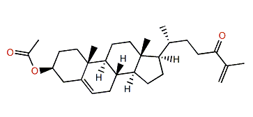 3b-Acetoxycholesta-5,25-dien-24-one
