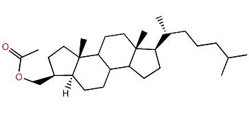 3b-Acetoxymethyl-A-nor-5a-cholestane