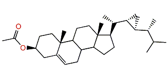 (E)-3b-Acetylgorgost-5-ene