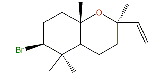 3b-Bromo-8-epicaparrapioxide