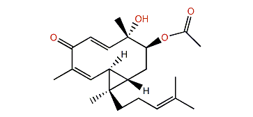 3b-epi-Acetoxydilopholone