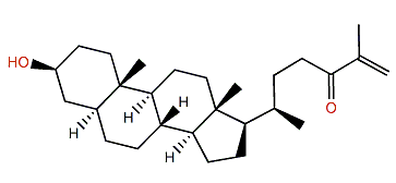 3b-Hydroxy-5a-Cholest-25-en-24-one