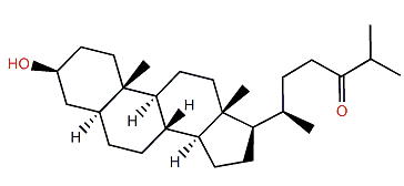 3b-Hydroxy-5a-Cholestane-24-one