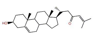 3b-Hydroxycholesta-5,24-dien-23-one