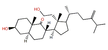 3b,11-Dihydroxy-24-methylene-9,11-secocholestan-9-one