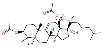 3b,12a-Diacetoxy-7,8-dihydrodihydroholothurinogenin