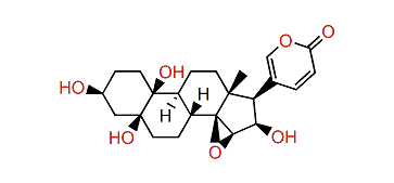 (3beta,5beta,15beta,16beta)-14,15-Epoxy-3,5,10,16-tetrahydroxyl-19-norbufa-20,22-dienolide