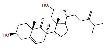 3b,8a,11-Dihydroxy-24-methylene-9,11-secocholest-5-en-9-one