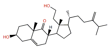 3b,8b,11-Dihydroxy-24-methylene-9,11-secocholest-5-en-9-one