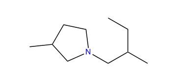 3-Methyl-1-(2-methylbutyl)-pyrrolidine