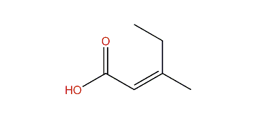 (Z)-3-Methyl-2-pentenoic acid