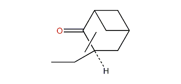 3-Ethylbicyclo[3.1.1]heptan-2-one
