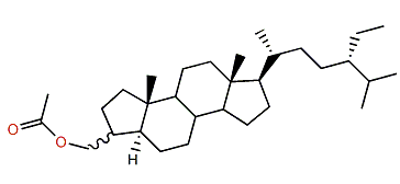 (24S)-3xi-Acetoxymethyl-24-ethyl-A-nor-5a-cholestane