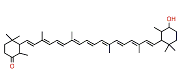 4'-Hydroxy-5,6,5',6'-tetrahydro-beta,beta-caroten-4-one