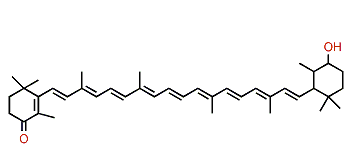 4'-Hydroxy-5',6'-dihydro-beta,beta-caroten-4-one