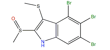 4,5,6-Tribromo-2-(methylsulfinyl)-3-(methylthio)-1H-indole