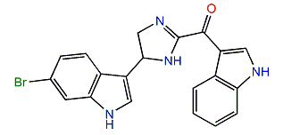 4,5-Dihydro-6''-deoxybromotopsentin