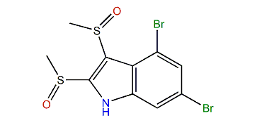 4,6-Dibromo-2,3-bis(methylsulfinyl)-1H-indole