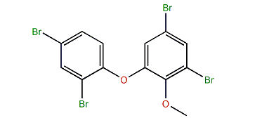 4,6-Dibromo-2-(2,4-dibromophenoxy)-anisole