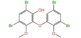 4,6-Dibromo-2-(3,5-dibromo-6-hydroxy-2-methoxyphenoxy)-anisole