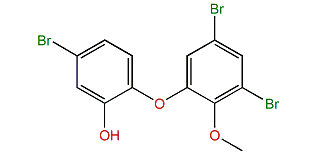 4,6-Dibromo-2-(4-bromo-2-hydroxyphenoxy)-anisole