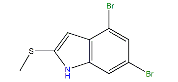 4,6-Dibromo-2-methylthio-1H-indole