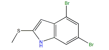 4,6-Dibromo-2-(methylthio)-1H-indole