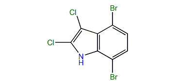 4,7-Dibromo-2,3-dichloro-1H-indole