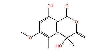4,8-Dihydroxy-6-methoxy-4,5-dimethyl-3-methylene-1-isochromanone