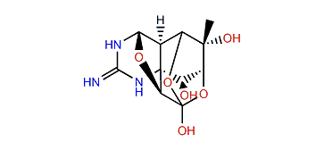 4,9-Anhydro-11-deoxytetrodotoxin