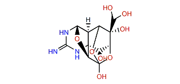 4,9-Anhydro-11-oxotetrodotoxin