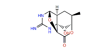 4,9-Anhydro-8-epi-5,6,11-trideoxytetrodotoxin