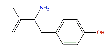 4-(2-Amino-3-methylbut-3-en-1-yl)-phenol