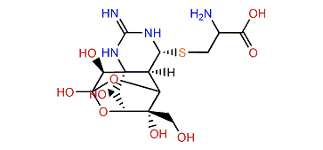 4-S-Cysteinyltetrodotoxin