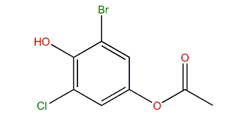 4-Acetoxy-2-bromo-6-chlorophenol