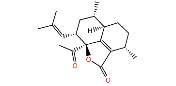 4-Acetylamphilectolide
