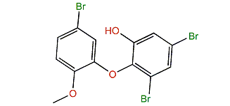 4-Bromo-2-(4,6-dibromo-2-hydroxyphenoxy)-anisole