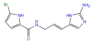 4-Debromooroidin