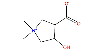 4-Hydroxy-N,N-dimethyl-3-pyrrolidinecarboxylate